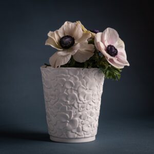 Flora Hydrangea L